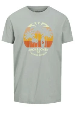 JACK & JONES Big & Tall Grey Palm Tree Logo Print T-Shirt 3 JACK & JONES Big & Tall Grey Palm Tree Logo Print T-Shirt -Urban Fitwear Sales 3541303c 2c3d 4c 207322 X