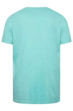 LYLE & SCOTT Big & Tall Blue Core T-Shirt -Urban Fitwear Sales 596c961f b8bd 44 208481 Y