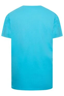 U.S. POLO ASSN. Big & Tall Light Blue Authentic T-Shirt -Urban Fitwear Sales 798b1e73 506c 40 207894 Y