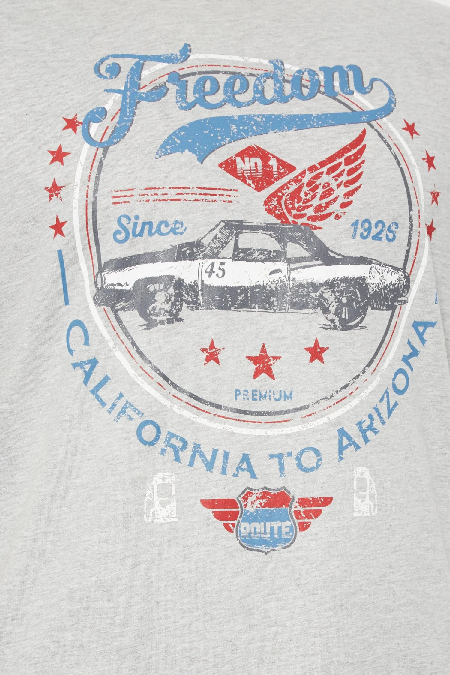 BadRhino Big & Tall Grey 'Freedom' Slogan Car Print T-Shirt 2 BadRhino Big & Tall Grey 'Freedom' Slogan Car Print T-Shirt - Image 2