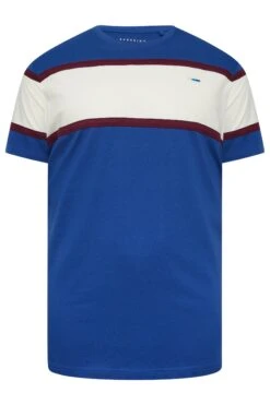 BadRhino Big & Tall Blue Stripe Panel T-Shirt 5 BadRhino Big & Tall Blue Stripe Panel T-Shirt -Urban Fitwear Sales d9011d95 80d7 49 207987 X