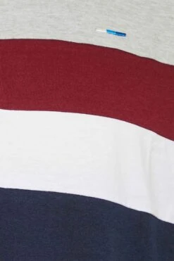 BadRhino Big & Tall Grey & Navy Cut & Sew T-Shirt 4 BadRhino Big & Tall Grey & Navy Cut & Sew T-Shirt -Urban Fitwear Sales e1922650 26c5 42 207248 Z