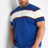 BadRhino Big & Tall Blue Stripe Panel T-Shirt